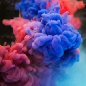 Meet your Posher, Addie